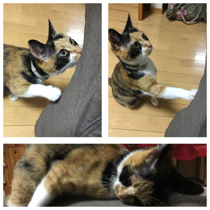 3cd64af8 f726 4f17 9da8 0d3a765039d3