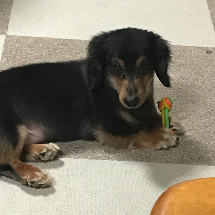 3cd6ecbc f699 4905 aaef a7cb8b4e23c8