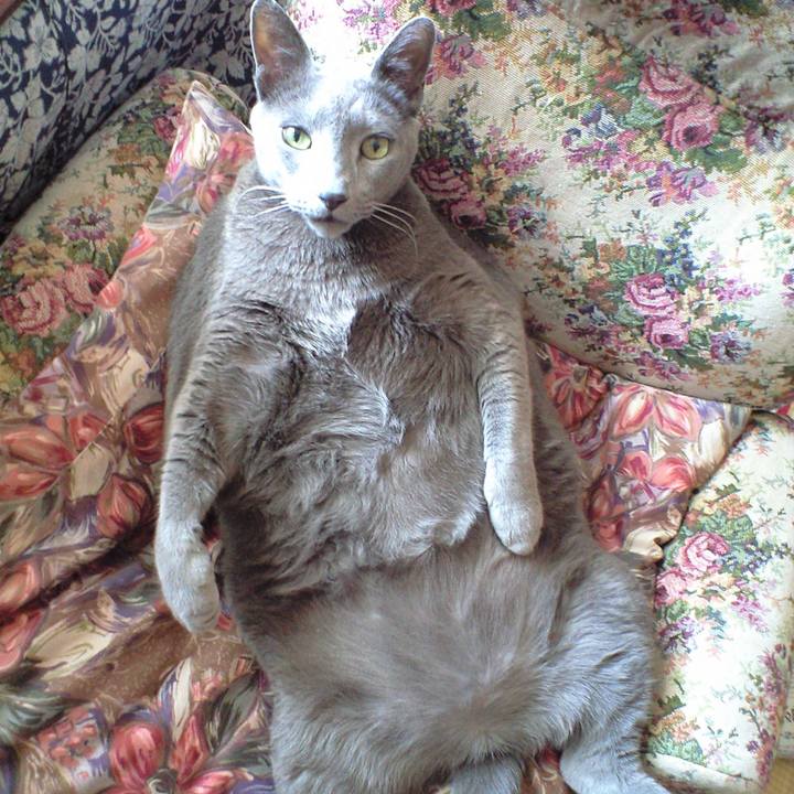 3cd72641 cddc 441c 8ada 068004deae99