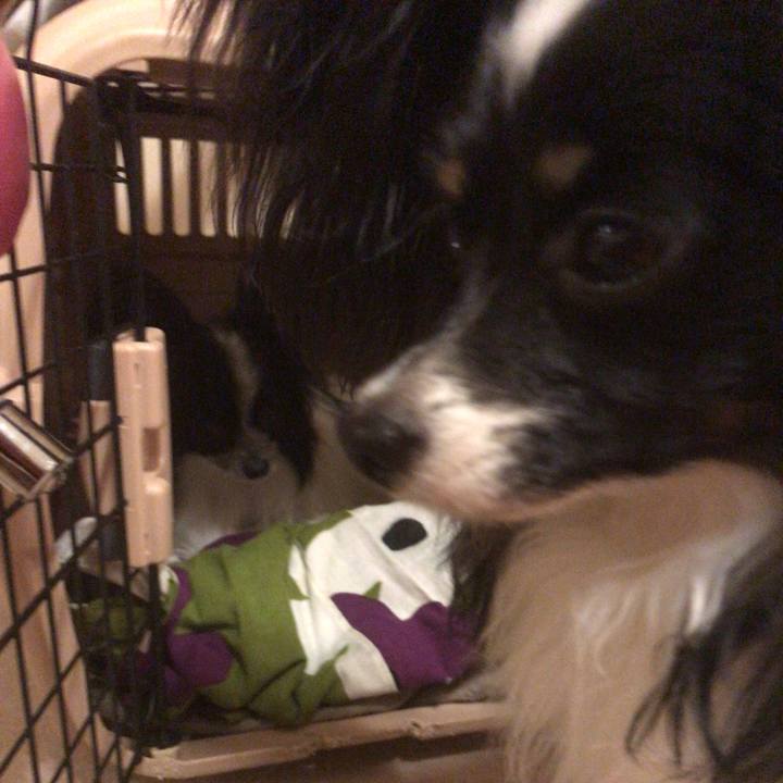 3cd76920 0b62 4704 bb64 1f26c9ae7013