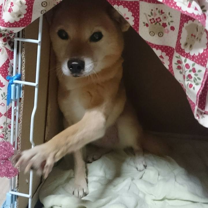 3cd79dc3 b909 4a01 ae4e 8e1993346bb8