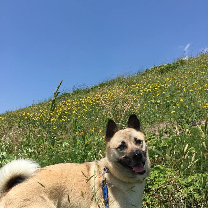 3cd8297f 7243 4587 971e 3570284e5d24