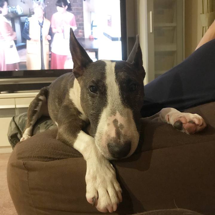 3cd92383 e28e 4fef 838b 48e88b8a0ad6