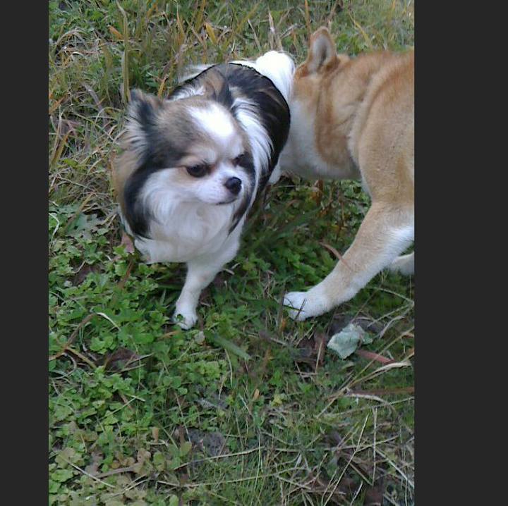 3cd94f54 3e3a 45e9 8d87 d05e47f8a647