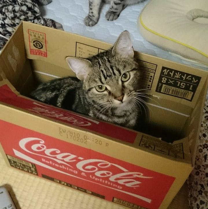 3cd97684 25a5 4d56 9cc2 53c3cca2d576