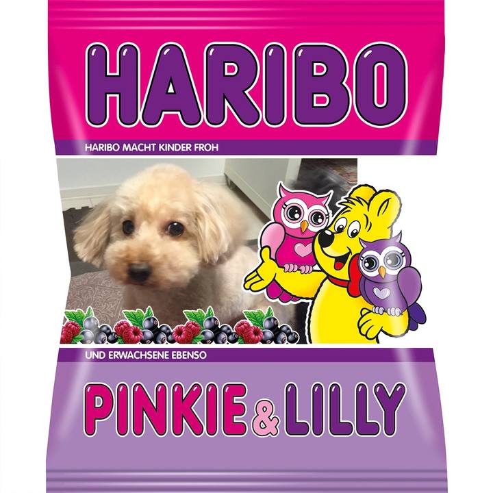 3cd99e8f 4888 4117 bd55 5b5903e8f4c9