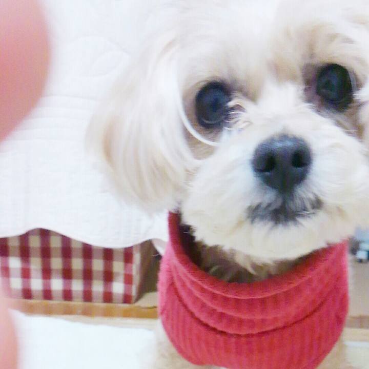 3cd9a32a d584 45ad abaf 41656d07a906