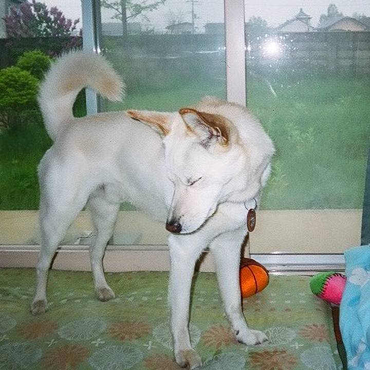 3cd9bc6b 2d9f 4198 bec2 8d7bff8de169