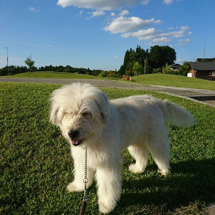 3cda0f43 650e 41e9 9fdc 984dbc6ae82a