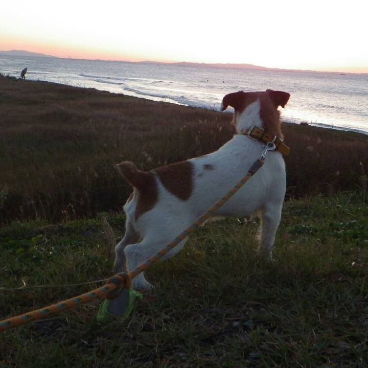 3cdb38e6 fafe 4c74 809c b58bb98b0f2a