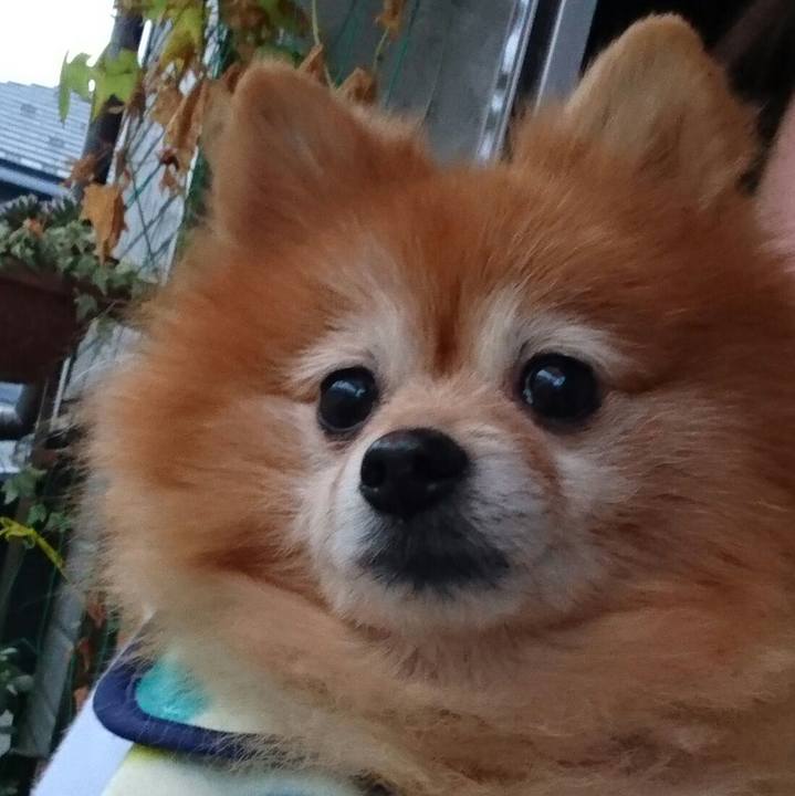 3cdb7baf 295e 469c a43c a27274ad83e5