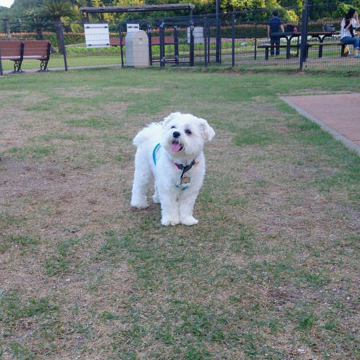 3cdc46cb 4f14 4f18 bdad d6f1e73c2939