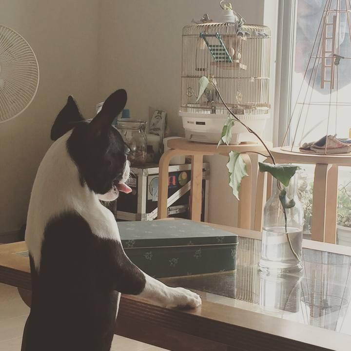 3cdd04d7 fc4e 4b89 ac9e 672c9708cbc8