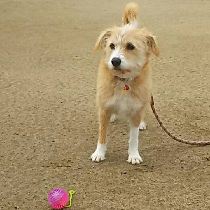 3cddb96a 6279 45a8 8727 bacbc875d090