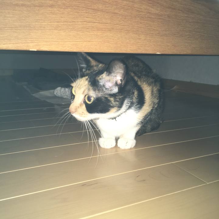 3cdde9a9 c27f 49f9 b379 40fcf9fde43c