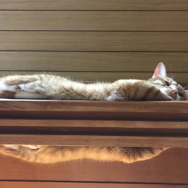 3cdeed40 5087 4dc1 a02f 025ca9dc3e51