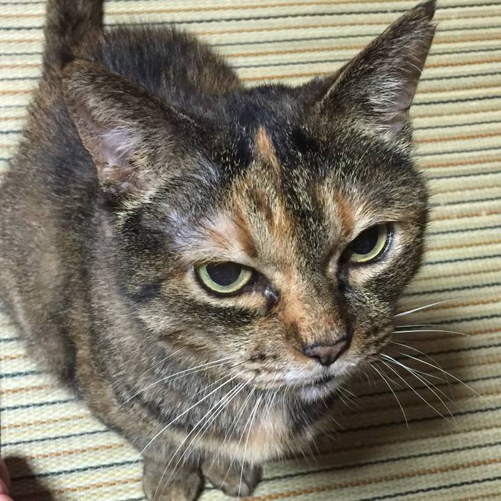 3cdf43b9 4519 43f6 8ba8 933732974305