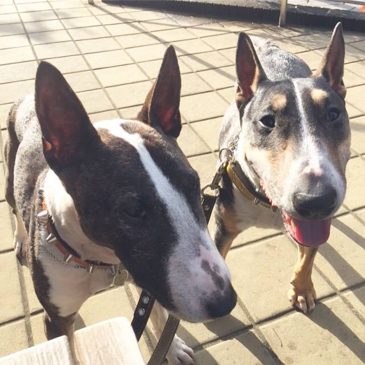 3ce060c3 5faf 448e a96b eda6433476ac