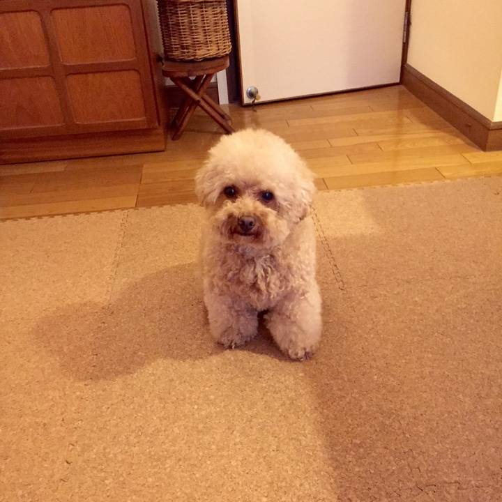 3ce10ff3 274f 422d 91df 8d75d14e47ce