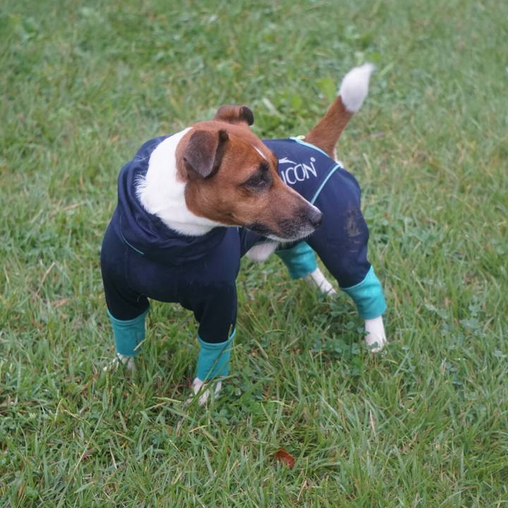 3ce14732 38df 4365 b06b 7147a64e835c