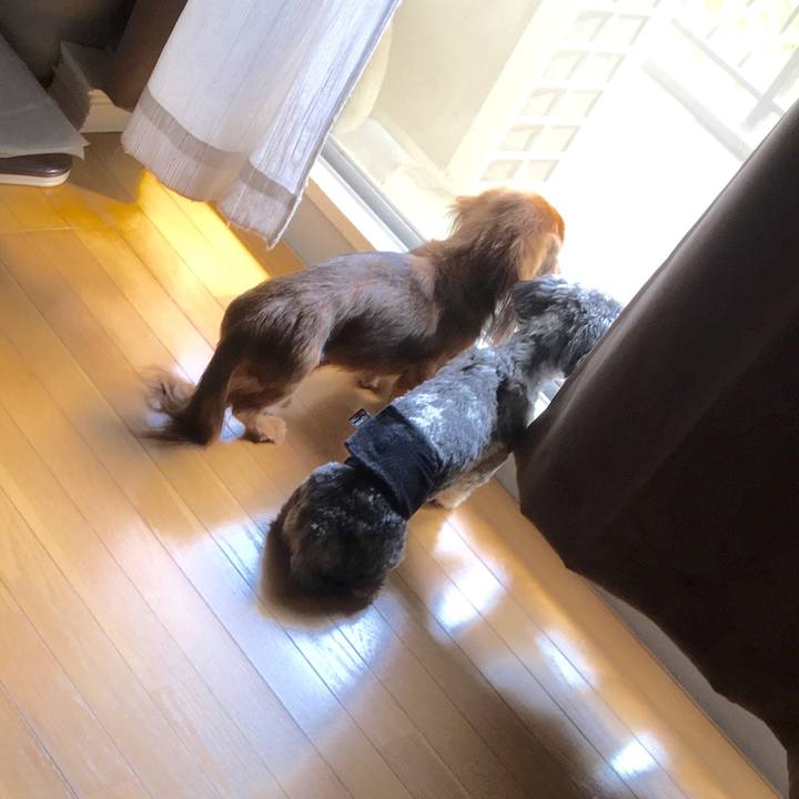 3ce22984 38db 4bd1 81b5 e7e7e71bce2d