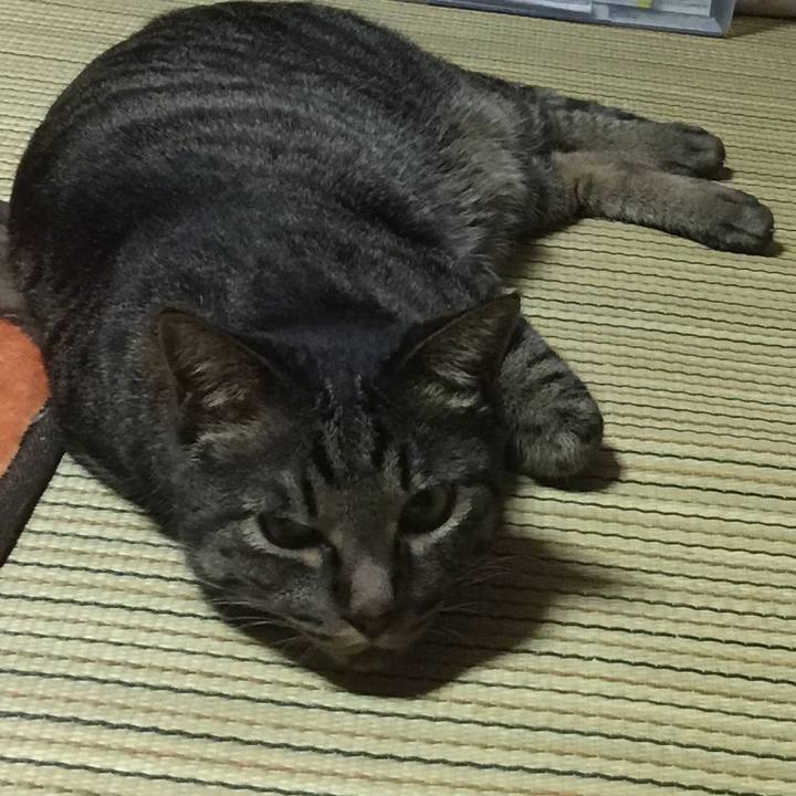 3ce2b3fe 8073 424d 9ece a6e25b5ae01b