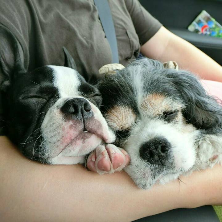 3ce32b91 d673 4246 bdad aa975254ad7d