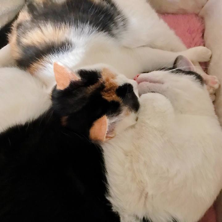 3ce3a0e3 0b03 4d45 815e c7ef80fd0ff3