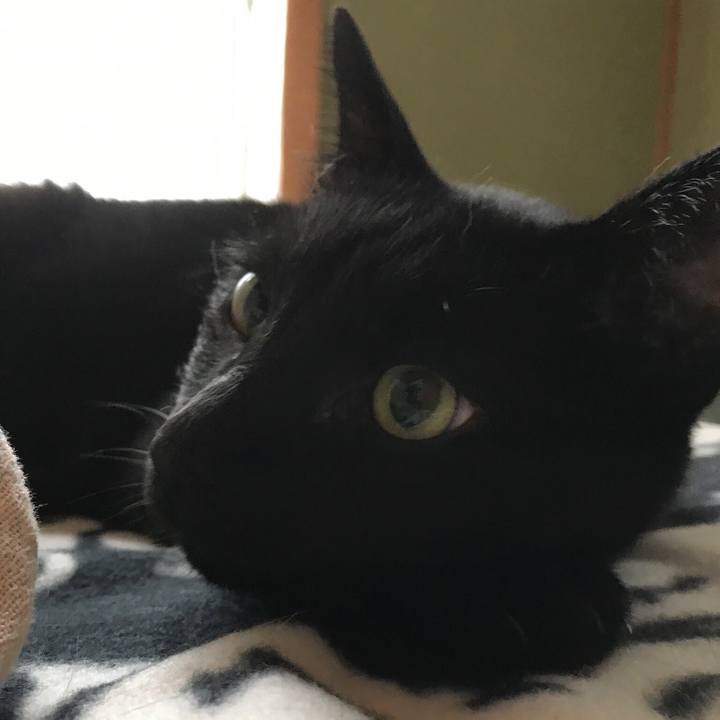 3ce3b924 9b76 4468 a4c2 4ac9f3259344