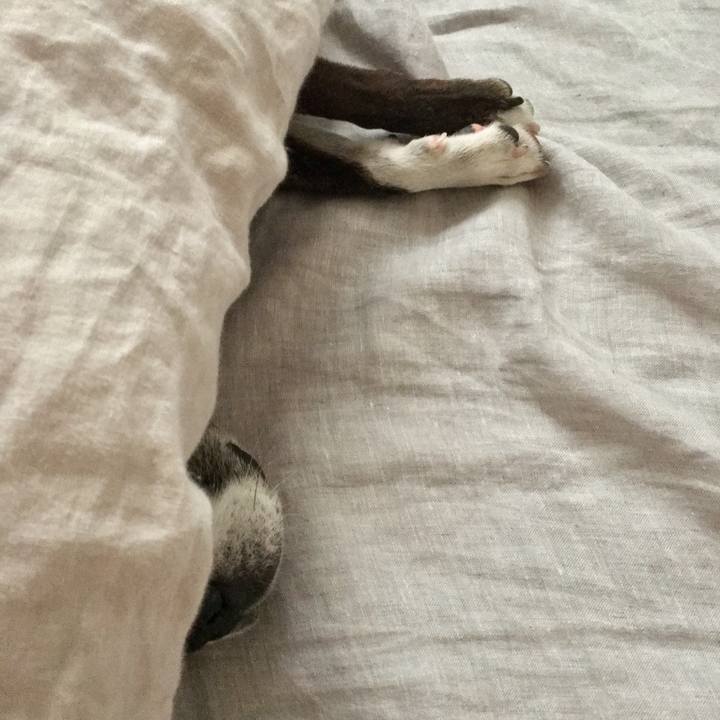 3ce3cb99 609c 40f2 a6f3 8930c752f45c