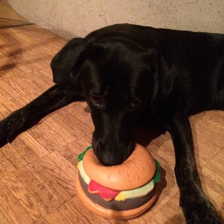 3ce3f039 ad96 45f1 b30b b2f0adf95fdf