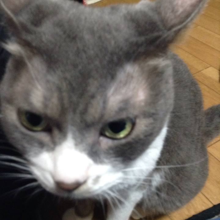 3ce3fec9 0da8 4c8a a6b5 b365ad5fd578