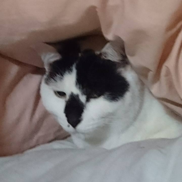 3ce497a1 50a1 4b85 be4e 40a73d73210b