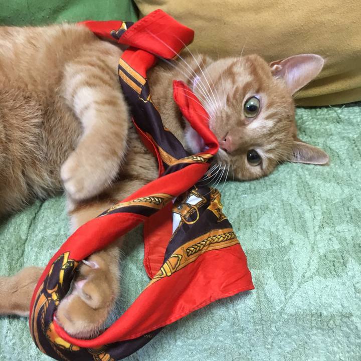 3ce571f3 f4d2 465c a8e1 762b4910eecb