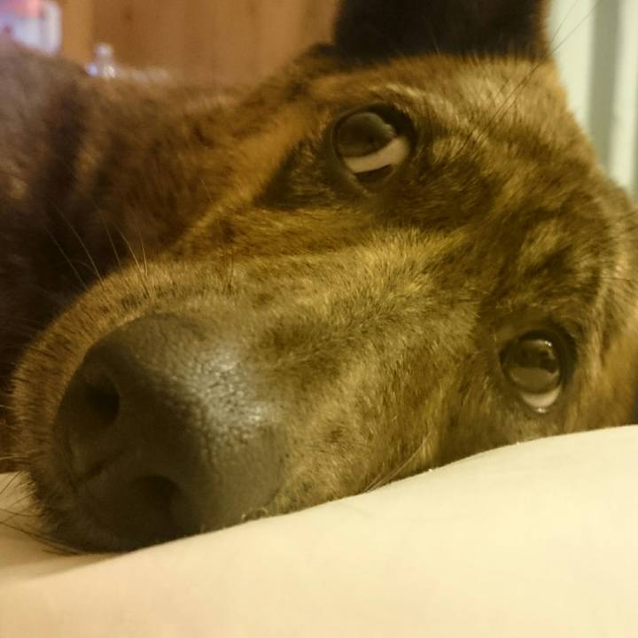 3ce5bd4a 1e45 46f9 b1d0 38840fc30aaf