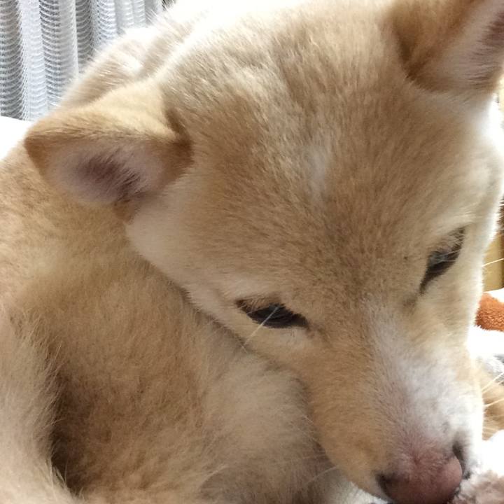 3ce62952 f96b 4fab b196 ab5bc1ec8dad