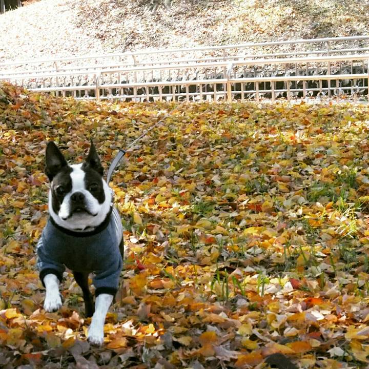 3ce73718 f1f0 4760 a38f ef3b8df90593