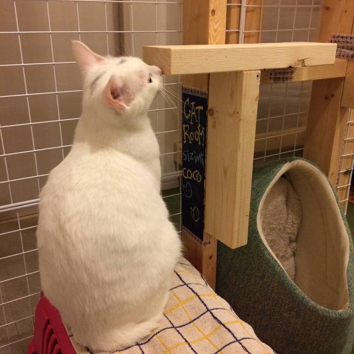 3ce7e905 4576 494d 8b43 5ff5a8bfb8cd