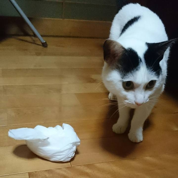 3ce83d43 58f5 4d5d b64e d358fc0f2033