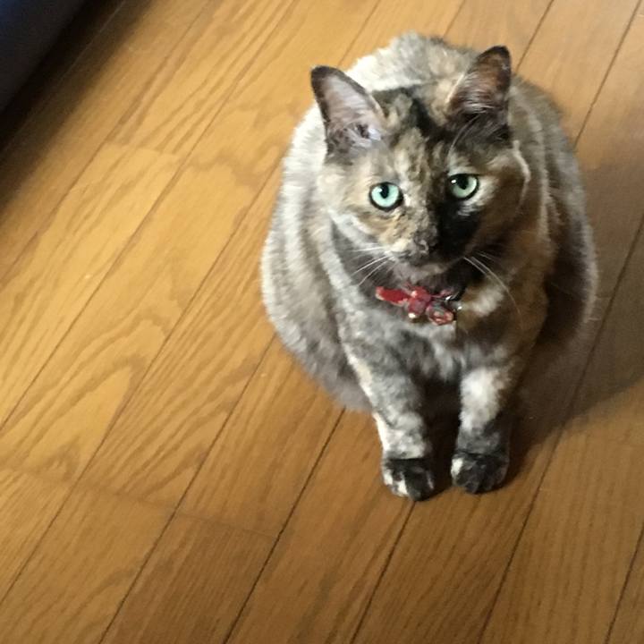 3ce888d4 d7ff 4120 a407 9a129f8f7c58