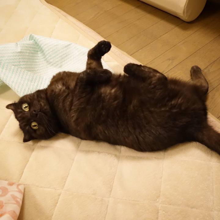 3ce9c2bc 2ad3 4789 99ab 8af40c7c933a