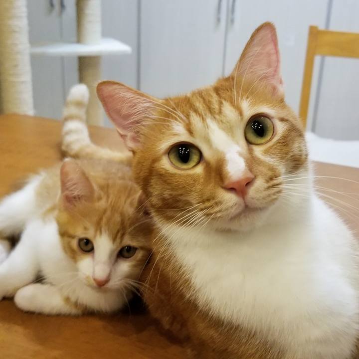 3ce9def2 e315 42c5 a7e5 25791d9f2ef1