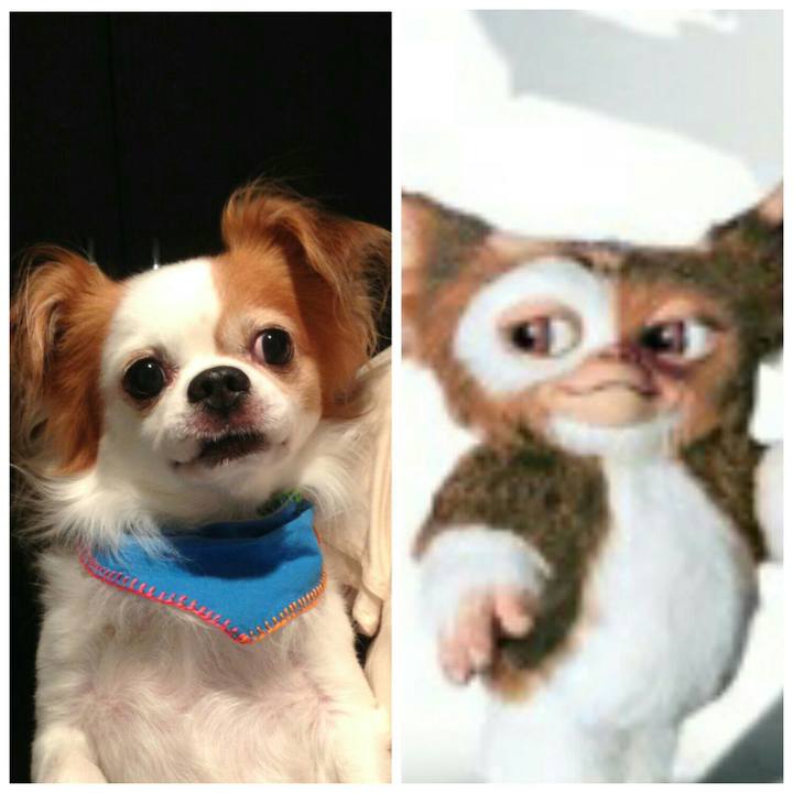 3cea9f1c e182 426c abcc 15c020fd3555