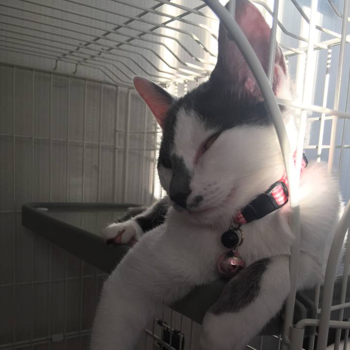 3ceae979 656c 4c66 a282 0b8da08883d9