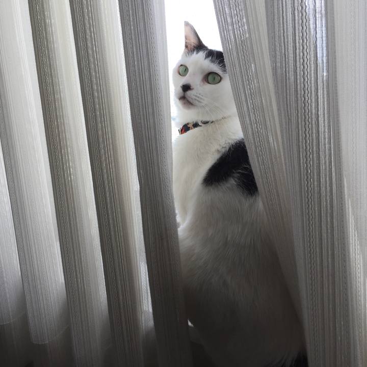 3ceb54ca 6396 489e bd98 4bf9b8b0a648