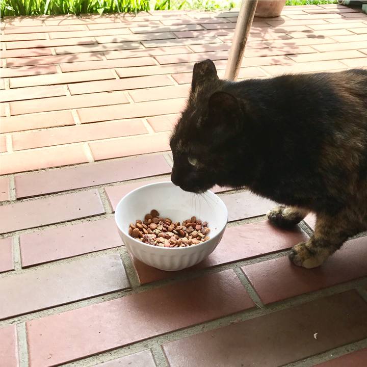 3ceb79d3 6bc4 447d afa3 0a5343adb10f