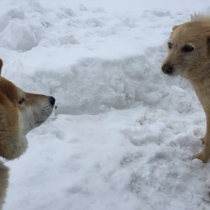 3ceba8d9 8068 4db3 9e5b c6c9588af7b2