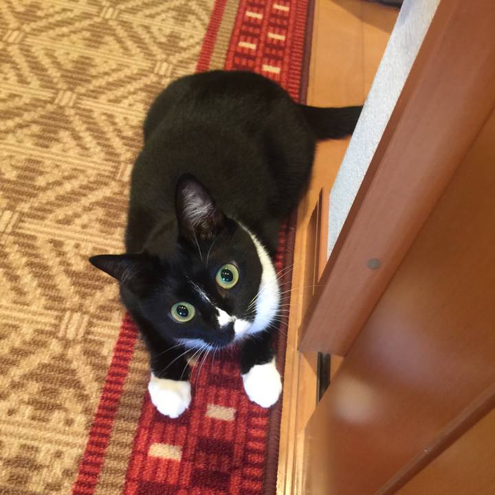 3cebd3ab 27b6 44f7 bfab b3a937d8da95