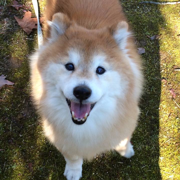 3cebe3a3 169e 45cc 92a6 1d79bced4498