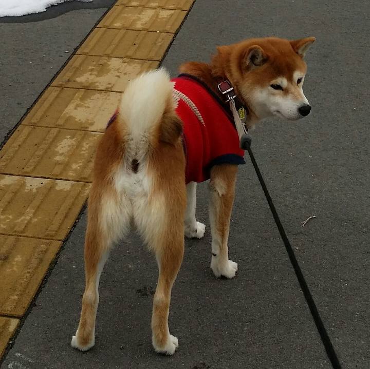 3cebf740 1550 49d0 a63b cbc7ea3db4cc